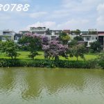  330m2 - 1
