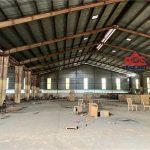  5000m2 - 3