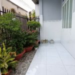  84m2 - 3