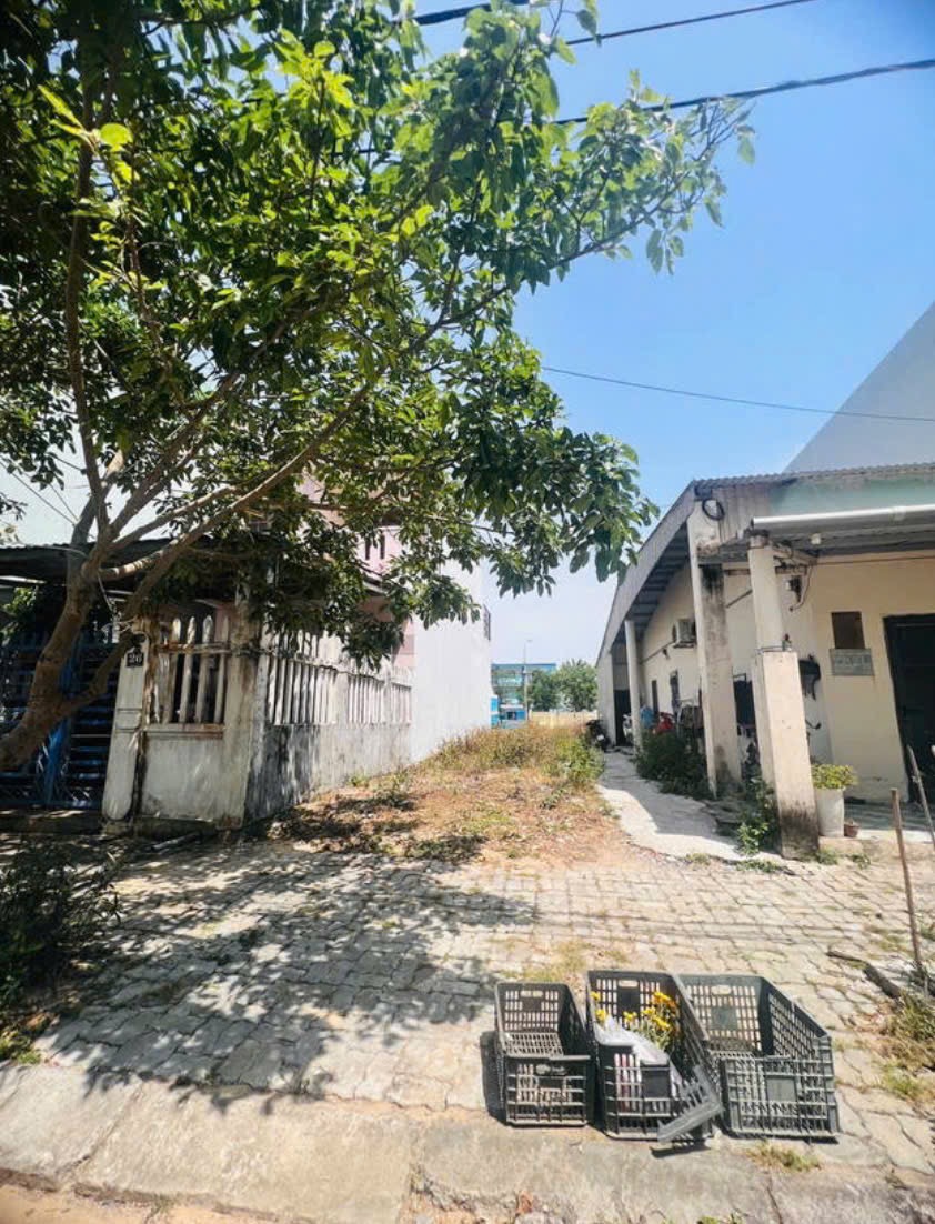  100m2