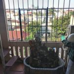  35m2 - 6