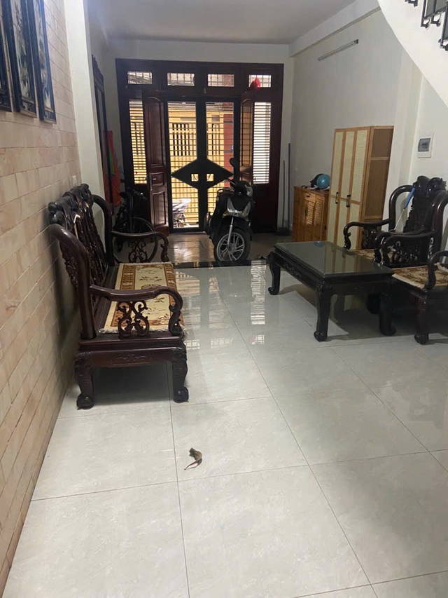 Bán nhà Riêng ngõ 68 Cầu Giấy, 51m, 6 Tầng, mới đẹp, gần ô tô, 10.9 tỷ