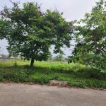  100m2 - 1