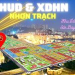  100m2 - 1
