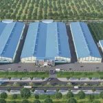  4800m2 - 3