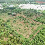  24600m2 - 5