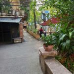  50m2 - 1
