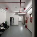 55m2 - 1
