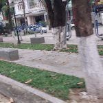  100m2 - 6