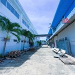  11000m2 - 1