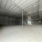 1000m2