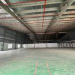  1000m2 - 1