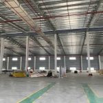  1000m2