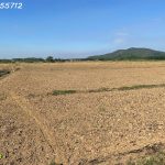  1000m2 - 1