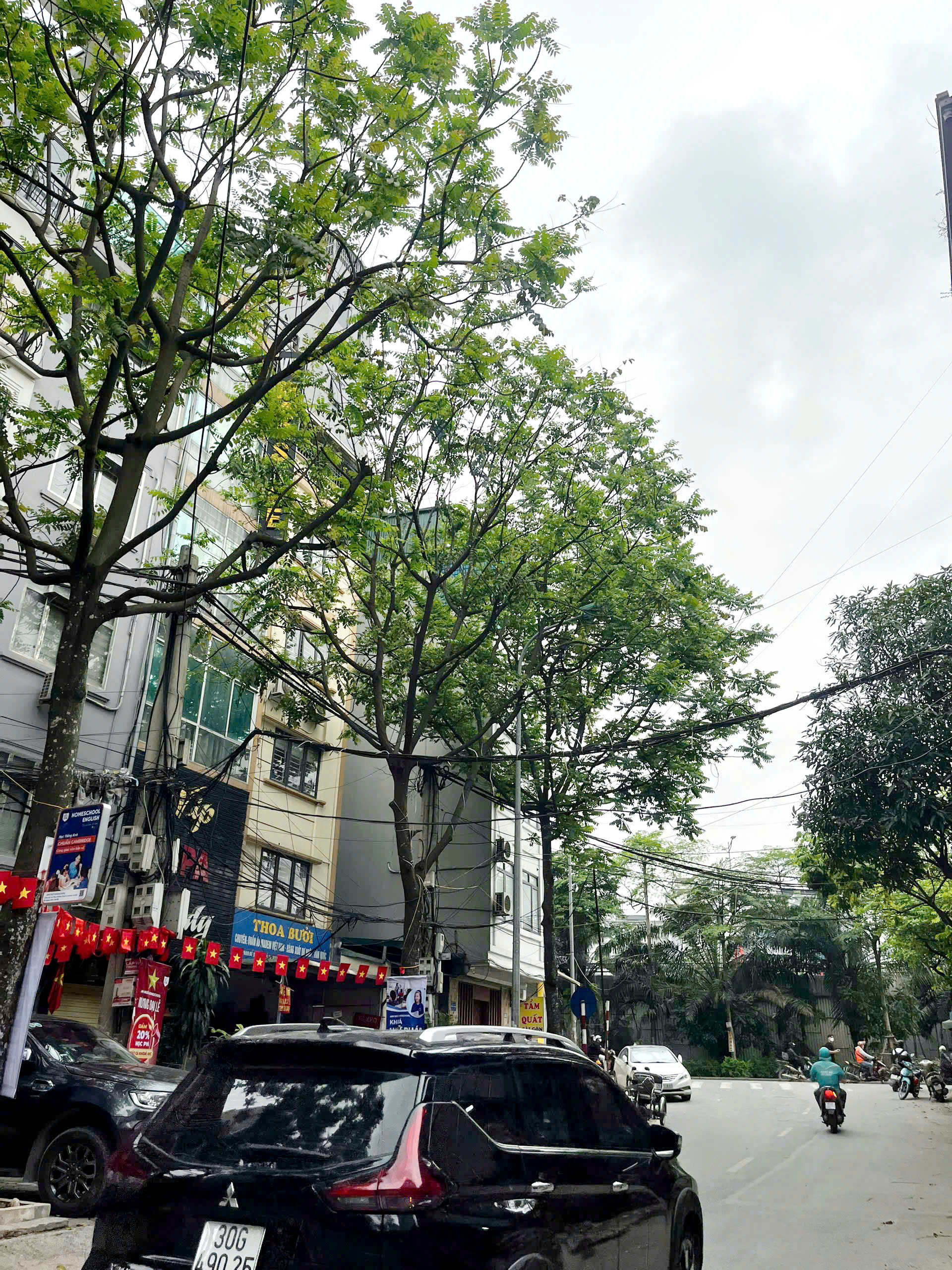 Bán nhà mặt phố Hoàng Hoa Thám, 125m MT siêu đẹp, giá chỉ 44 tỷ