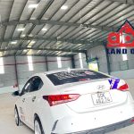  5000m2 - 3