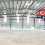  5000m2 - 5