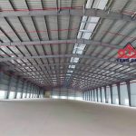  10000m2 - 6