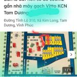 100m2