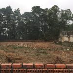  180m2 - 6