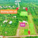  550m2 - 1