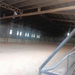  1750m2 - 4