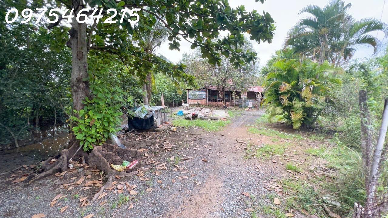ĐẤT 2 MẶT TIỀN VIEW SÔNG ĐỒNG NAI – CHỈ 13 TRIỆU/M² SIÊU PHẨM ĐẦU TƯ QUỸ ĐẤT HIẾM CÒN SÓT LẠI TẠI TP THỦ ĐỨC