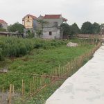  100m2 - 1