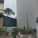  65m2 - 4