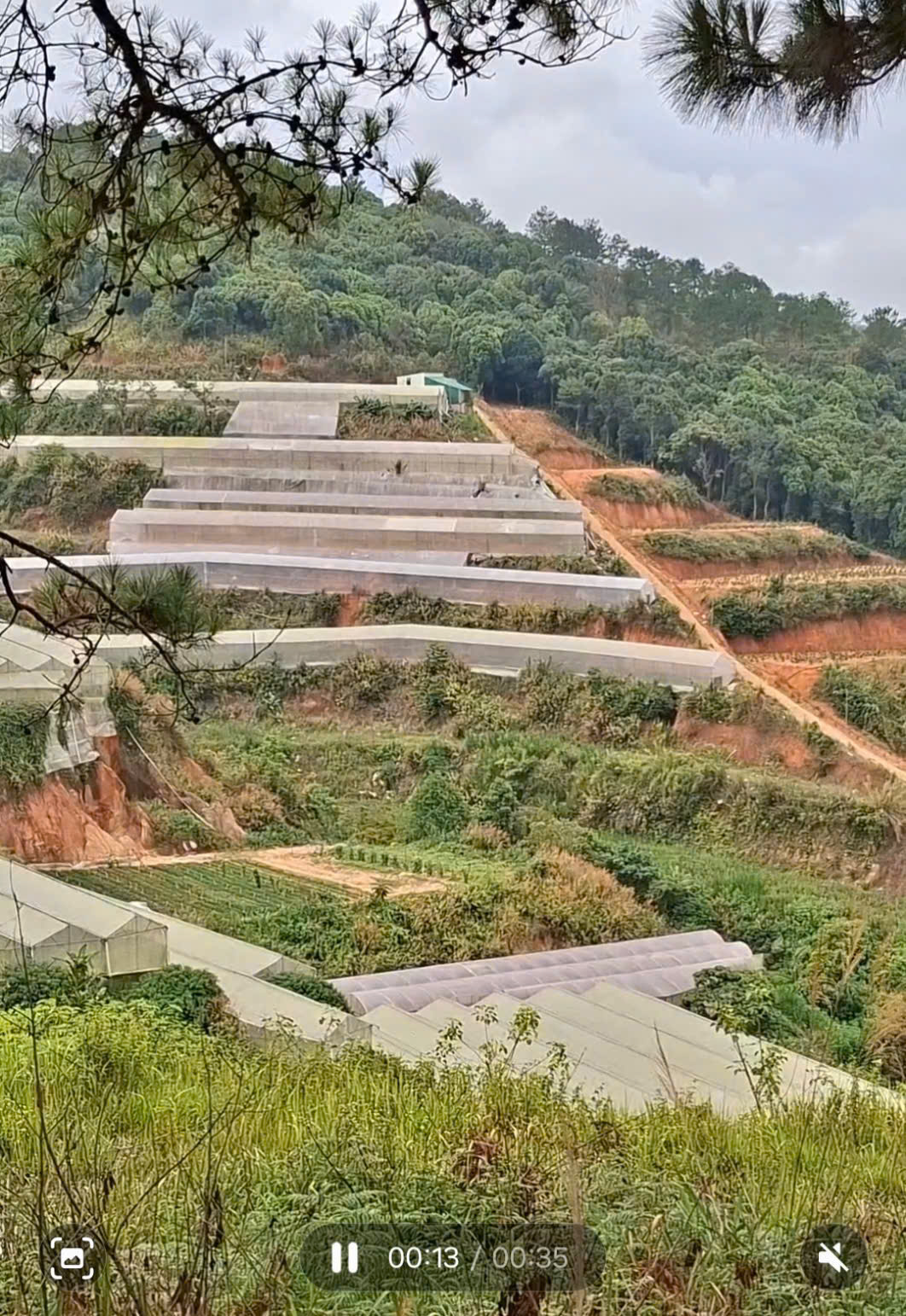 Bán lô đất tại phường 5 nối liền với xã Tà Nung, TP.Đà Lạt, tỉnh Lâm Đồng