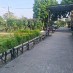  150m2 - 6