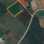  1700m2 - 6