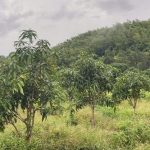  22158m2 - 1