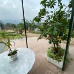  3000m2 - 3