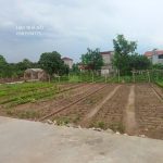  95m2 - 4