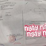  44m2 - 6
