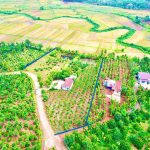  6000m2 - 4