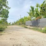  6000m2 - 1