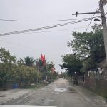  245m2 - 5