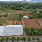  41000m2 - 3