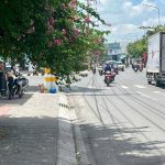  100m2 - 1