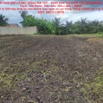  50m2 - 1