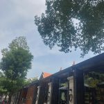  100m2 - 1