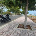  100m2 - 6