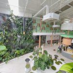 800m2 - 6