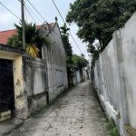  100m2 - 6