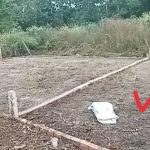  95m2 - 6