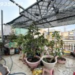 95m2 - 1