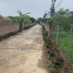  2100m2 - 3