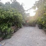 200m2